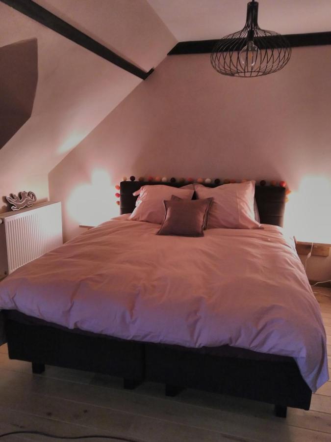 Chambres D'Hotes Les 3 Salamandres Yvoir エクステリア 写真